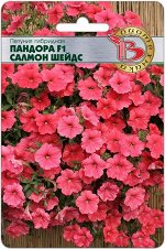 Петуния каскадная Пандора F1 Салмон Шейдс 5 шт.Крупные ампельные растения, практически беспроблемные, цветут как сумасшедшие весь сезон без обрезки