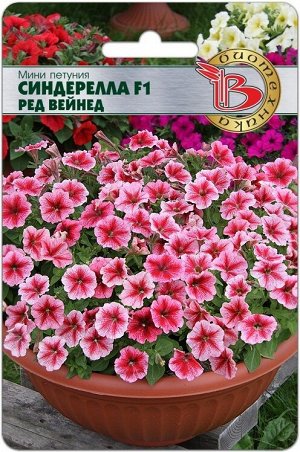 Мини Петуния Синдерелла F1 Ред Вейнед