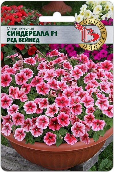 Биотехника — семена для ценителей