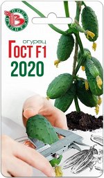Огурец Гост F1 2020,8 шт