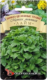 Мелисса лимонная Лайм