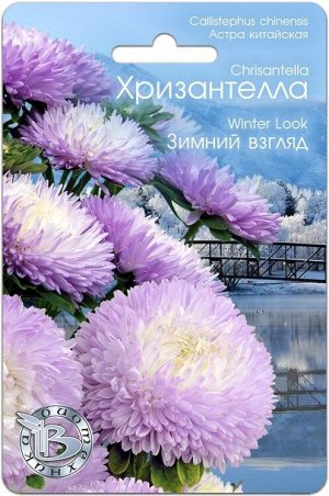 Астра китайская Хризантелла Зимний Взгляд 30шт Биотехника