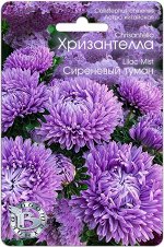 Астра китайская Хризантелла Сиреневый Туман 30шт Биотехника