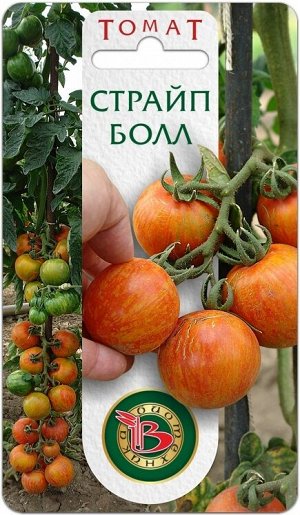 Томат Страйп Болл 15 шт.Плоды необычно красивой расцветки – на оранжевом фоне чередуются размытые красные и оранжевые полосы