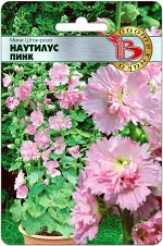 Мини Шток-Роза Наутилус Пинк 8 шт.Карликовая форма штокрозы, зацветающая в год посева