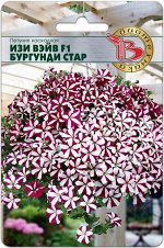 Петуния каскадная Изи Вэйв F1 Бургунди Стар, 5 шт.
