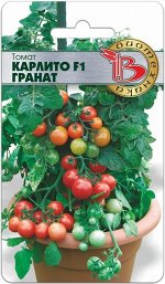 Томат Карлито F1 Гранат 5 шт.Уникальная специальная селекция овощных растений для выращивания в контейнерах или вазонах