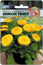 Календула карликовая Лимон Твист 20 шт.Необычно компактные, низкие для календулы растения  до 20 см в высоту