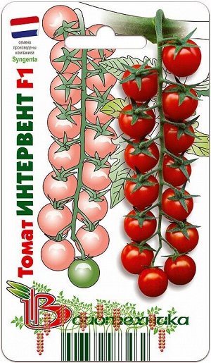Томат Интервент F1 5 шт.Профессиональный гибрид черри томата с великолепными сладкими плодами для потребления в свежем виде и цельноплодного консервирования