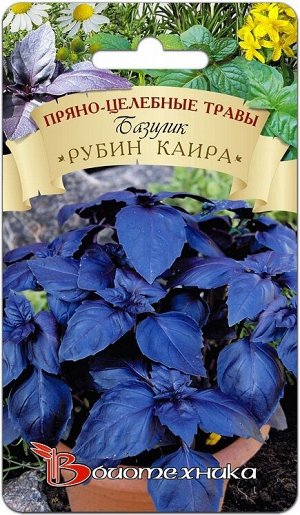 Базилик черно-фиолетовый Рубин Каира