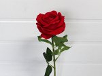 Роза одиночная