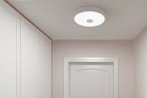 Потолочная лампа Yeelight Xiaomi LED Induction Mini YLXD09YL