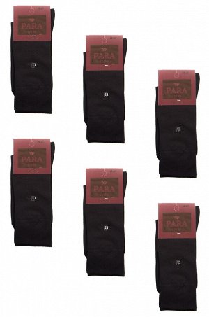 Носки мужские 6 пар Para socks