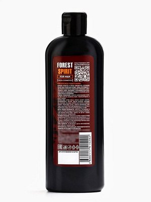 Подарочный набор мужской FOREST SPIRIT, гель для душа 250 мл, шампунь 250 мл