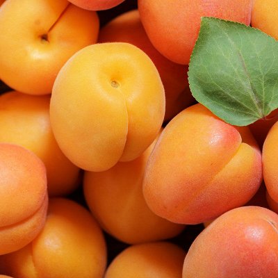 СИБИРСКИЙ САД! Саженцы, предзаказ 50