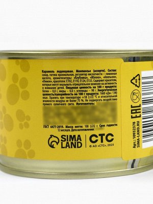 Леденцы монпансье в консервной банке «Три кота», 100 г