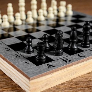 Настольная игра 3 в 1 &quot;Шелест&quot;: нарды, шахматы, шашки, доска 24х24 см