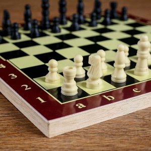 Настольная игра 3 в 1 "Карнал": нарды, шахматы, шашки, 20.5 х 20.5 см, микс