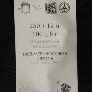 Пряжа "Элегантная" 100% мериносовая шерсть 250м/100гр (02-Черный)