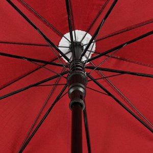 Зонт - трость полуавтоматический «Чёрточки», 10 спиц, R = 49 см, цвет красный