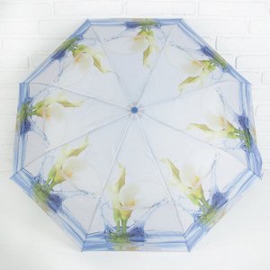 Зонт полуавтоматический «Каллы», 3 сложения, 8 спиц, R = 49 см, цвет белый/голубой