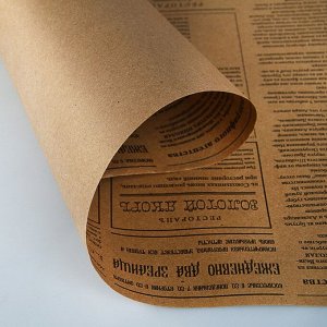 Бумага упаковочная крафт ""Губернские вести"", 0,72 х 10 м, 70 г