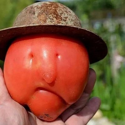 Более 100 сортов томатов мировой селекции! Свежий приход