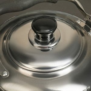 Чайник 4 л Нержавеющая сталь/ пластик Для электрической плиты/ Для галогенной плиты/ Для газовой плиты/ Для стеклокерамической плиты 509 г