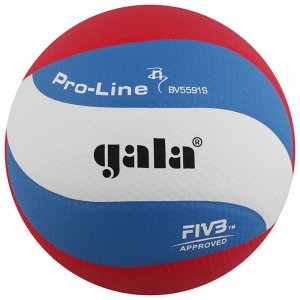 Мяч волейбольный Gala Pro-Line 10 FIVB, BV5591S, размер 5, клееный