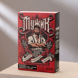 Подарочный набор «Настоящий мужик», гель для душа 250 мл, аромат ледяная свежесть, шампунь 250 мл, аромат взрыв прохлады