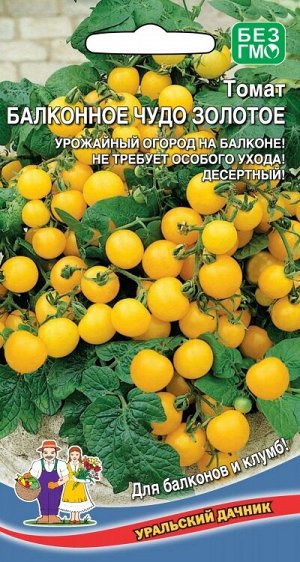 Томат Балконное Чудо Золотое (УД) Новинка!!!