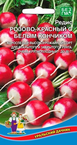 Редис РОЗОВО-КРАСНЫЙ С БЕЛЫМ КОНЧИКОМ