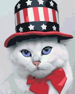 Картина по номерам Американский кот