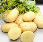 Картофель Импала, Нидерланды раннеспелый, желтый 1уп