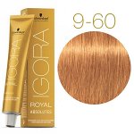Игора роял абсолют 9-60