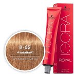 Игора роял 8-65