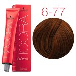 Igora Royal 6-77