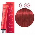 Игора роял 6-88