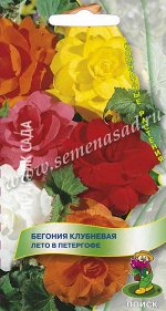 Бегония клубневая Лето в Петергофе (ЦВ) (&quot;К) 15шт.
