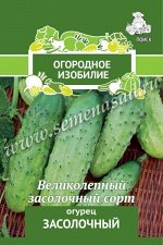 Огурец Засолочный (Огородное изобилие) 0,5гр