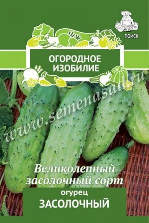 Огурец Засолочный (Огородное изобилие) 0,5гр