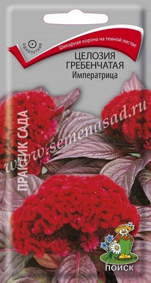 Целозия гребенчатая Императрица (ЦВ) ("1) 0,1гр.