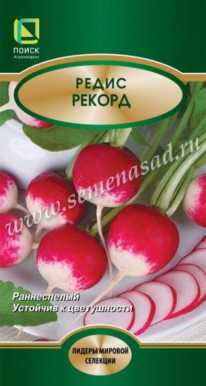 Редис Рекорд (А) (ЦВ*) 3гр.
