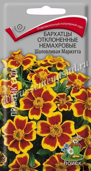 Бархатцы отклоненные немахровые (Тагетес отклонённый) Шаловливая Мариэтта ( ЦВ) ("1) 0,4гр.