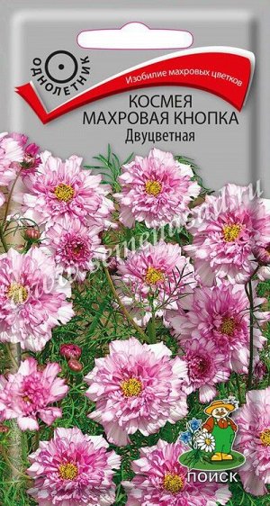 Космея Махровая кнопка Двуцветная (ЦВ) ("1) 0,1гр