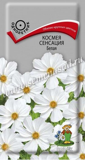 Космея Сенсация Белая (ЦВ) ("1) 0,3гр