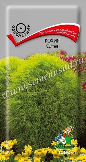 Кохия Султан (ЦВ ) ("1) 0,1гр.