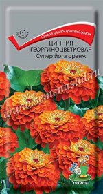 Цинния георгиноцветковая &quot;Супер йога оранж&quot;