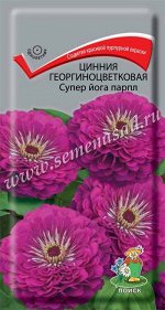 Цинния георгиноцветковая &quot;Супер йога парпл&quot;