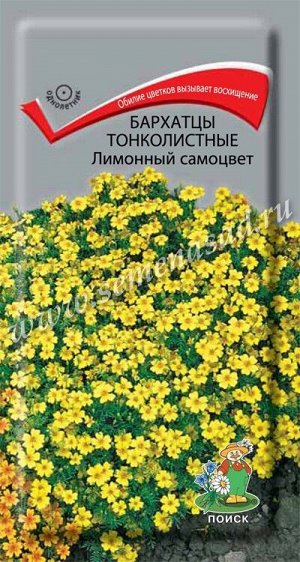 Бархатцы (Тагетес) тонколистные Лимонный самоцвет (ЦВ) ("1) 0,1гр.